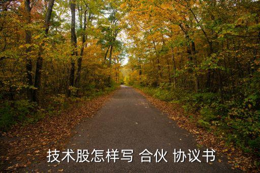 技術(shù)資金合伙協(xié)議,合伙協(xié)議不寫出資金額有效嗎
