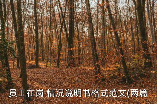 工作情況說(shuō)明,因身體原因不能工作情況說(shuō)明