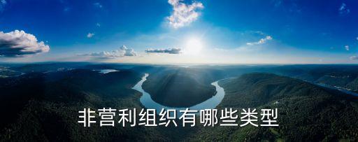 非營(yíng)利性機(jī)構(gòu),美國(guó)國(guó)際棉花協(xié)會(huì)是一個(gè)非營(yíng)利性機(jī)構(gòu)