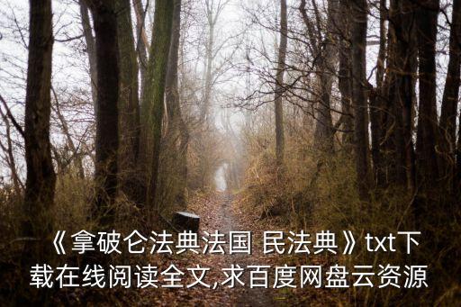 《拿破侖法典法國 民法典》txt下載在線閱讀全文,求百度網(wǎng)盤云資源