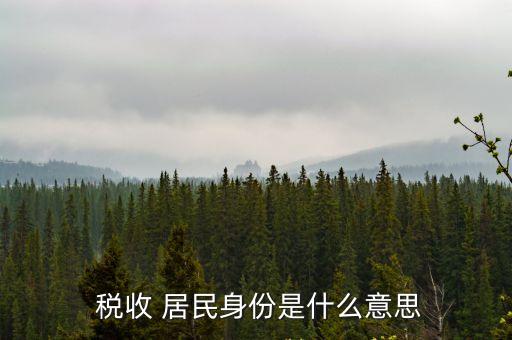 中國稅收居民