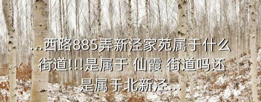 ...西路885弄新涇家苑屬于什么 街道!!!是屬于 仙霞 街道嗎還是屬于北新涇...