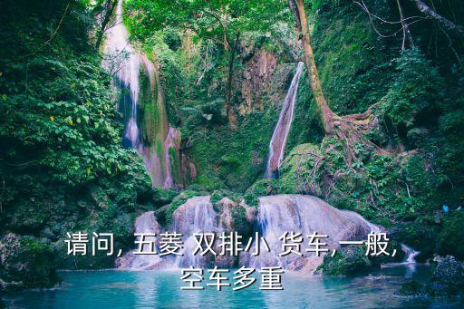 請問, 五菱 雙排小 貨車,一般,空車多重