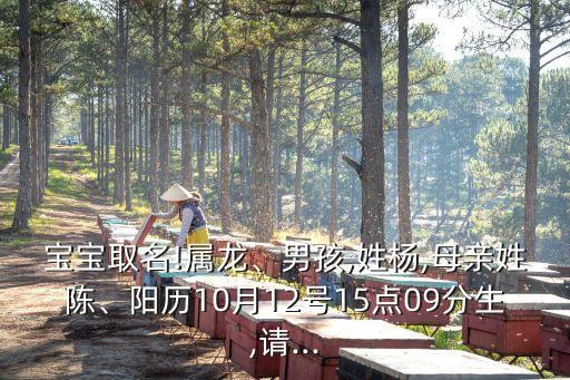 楊龍輝