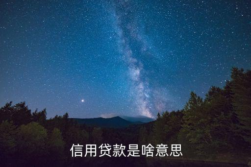 信用貸是什么意思,支付寶借唄變成信用貸是什么意思