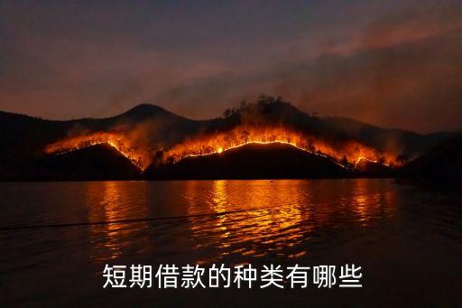 短期貸款