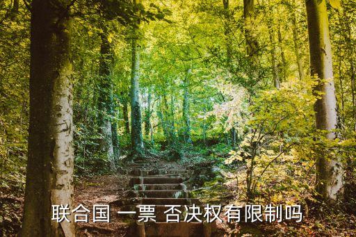 聯(lián)合國 一票 否決權有限制嗎