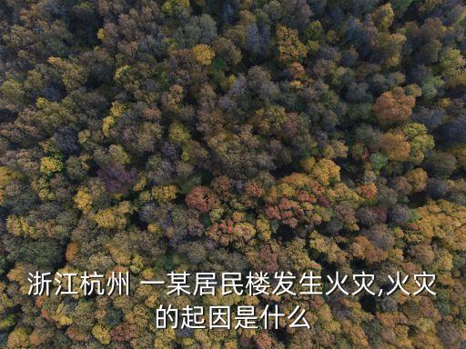 一某,一畝田多少平方