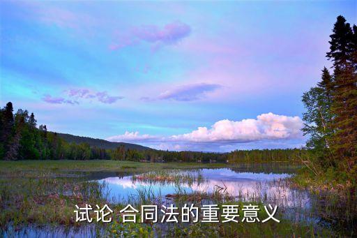 試論 合同法的重要意義