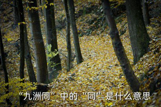 同是什么意思