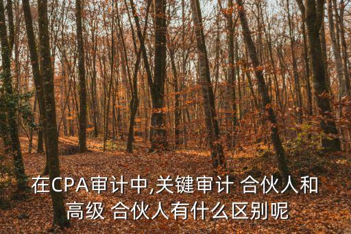 在CPA審計中,關(guān)鍵審計 合伙人和 高級 合伙人有什么區(qū)別呢