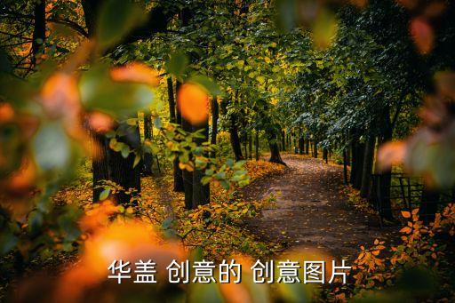 華蓋創(chuàng)意