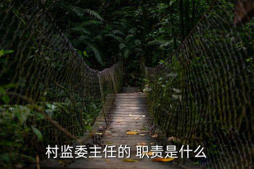 村監(jiān)委主任的 職責(zé)是什么