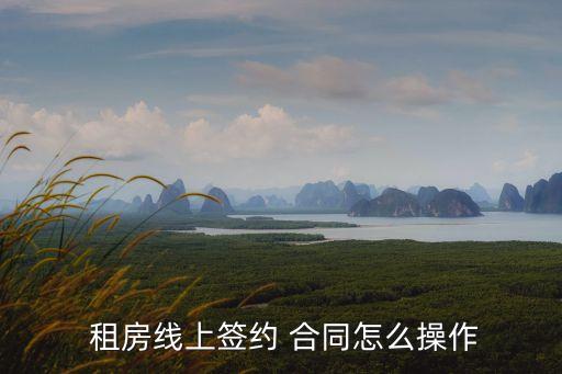  租房線上簽約 合同怎么操作