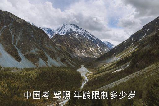 中國考 駕照 年齡限制多少歲