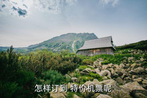 怎樣訂到 特價機票呢