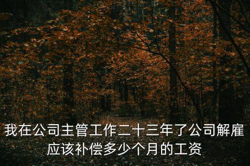工作22年被解聘補(bǔ)償金多少