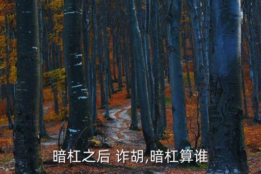 暗杠之后 詐胡,暗杠算誰