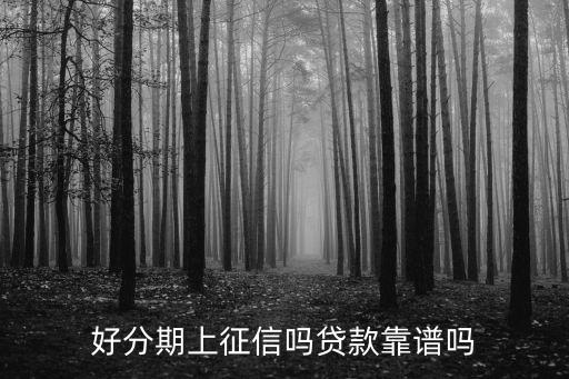好分期正規(guī)嗎,十大良心貸款平臺(tái)
