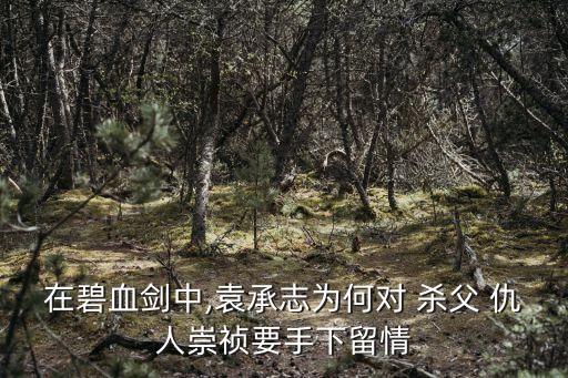 在碧血?jiǎng)χ?袁承志為何對(duì) 殺父 仇人崇禎要手下留情
