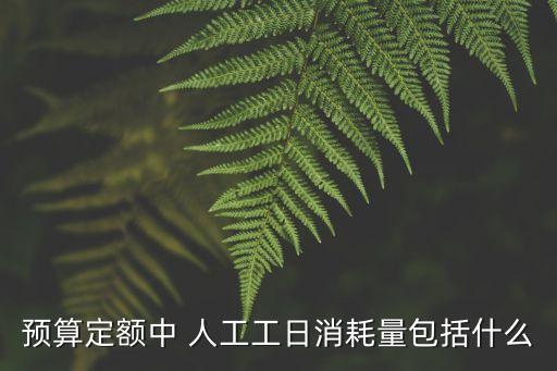 預算定額中 人工工日消耗量包括什么