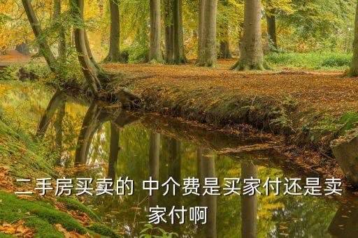 二手房買賣的 中介費(fèi)是買家付還是賣家付啊