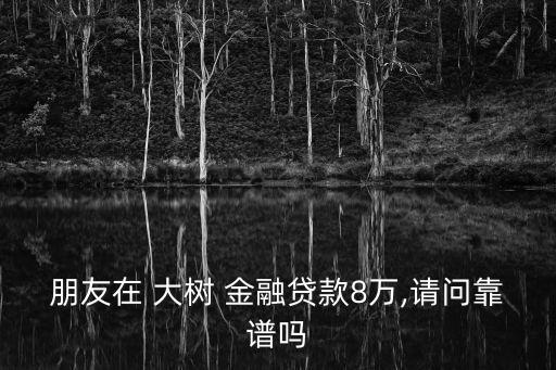 大樹(shù)金融,大數(shù)金融的貸款還不上怎么辦