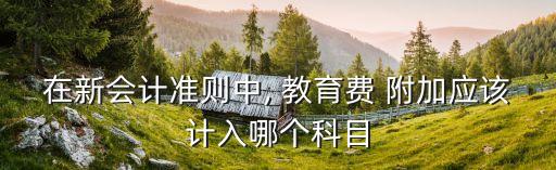 教育費(fèi)附加