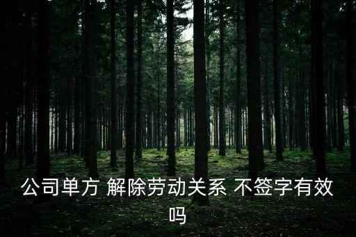 不簽解除合同會(huì)怎么樣嗎,合同簽了錢沒到賬 怎么樣解除合同