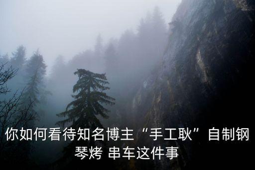 你如何看待知名博主“手工耿”自制鋼琴烤 串車這件事