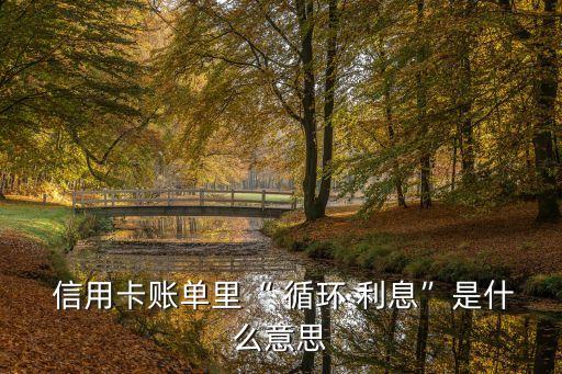 信用卡循環(huán)利息是怎么回事,中國(guó)銀行信用卡借記利息是怎么回事