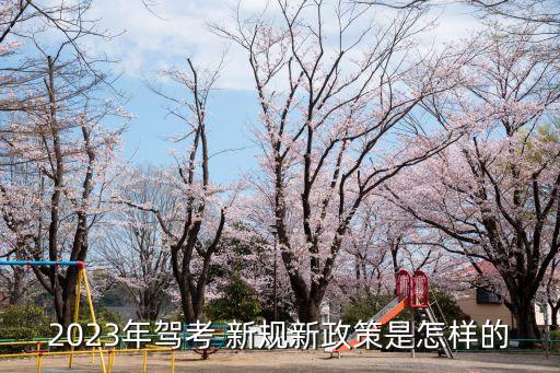 駕駛新規(guī),2023年武漢無證駕駛新規(guī)
