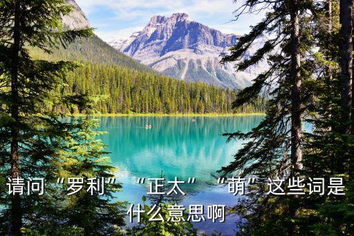 請(qǐng)問“羅利”“正太”“萌”這些詞是什么意思啊