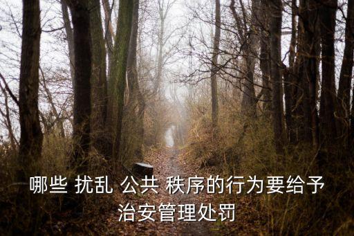 擾亂公共秩序