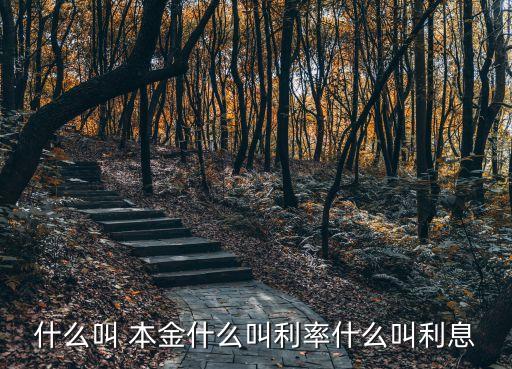 什么叫 本金什么叫利率什么叫利息