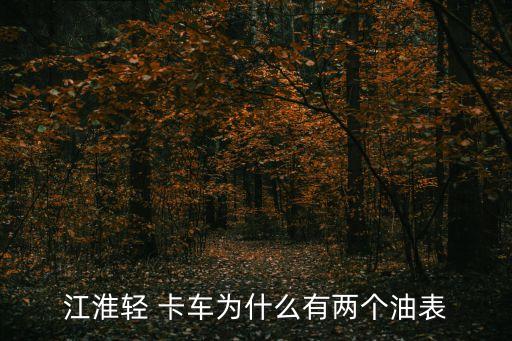 江淮輕 卡車為什么有兩個(gè)油表