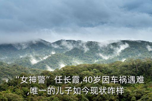 “女神警”任長(zhǎng)霞,40歲因車禍遇難,唯一的兒子如今現(xiàn)狀咋樣