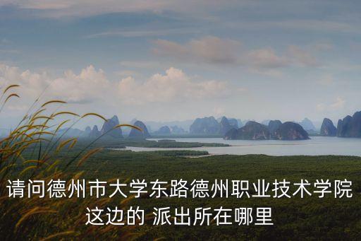請(qǐng)問(wèn)德州市大學(xué)東路德州職業(yè)技術(shù)學(xué)院這邊的 派出所在哪里