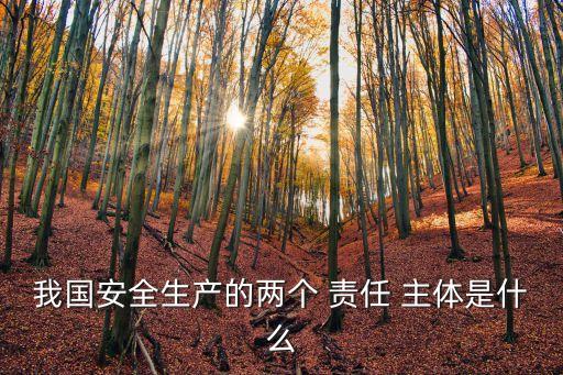 安全生產(chǎn)主體責(zé)任