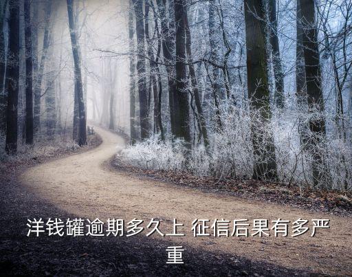  洋錢罐逾期多久上 征信后果有多嚴重