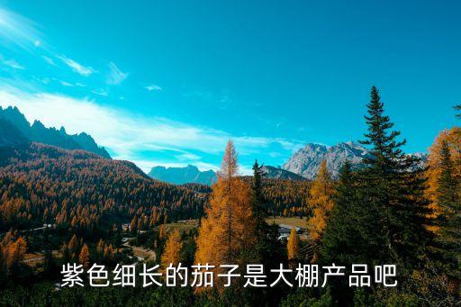 杭茄