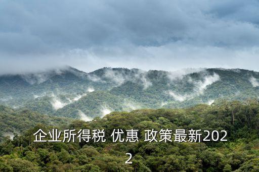 企業(yè)稅收優(yōu)惠政策,2023年小微企業(yè)稅收優(yōu)惠政策