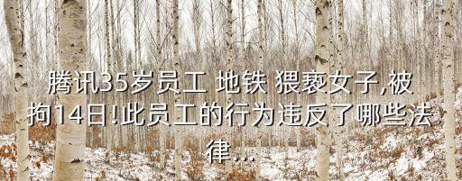 騰訊35歲員工 地鐵 猥褻女子,被拘14日!此員工的行為違反了哪些法律...