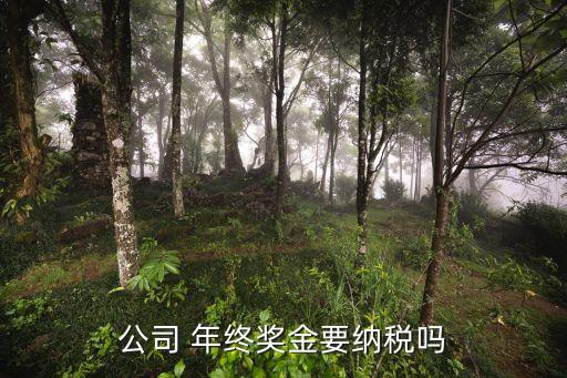公司 年終獎(jiǎng)金要納稅嗎