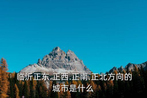  臨沂正東.正西.正南.正北方向的城市是什么