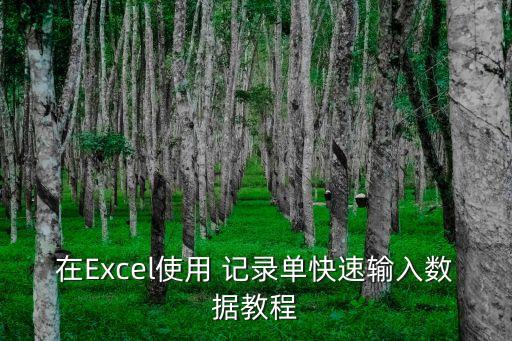 在Excel使用 記錄單快速輸入數(shù)據(jù)教程