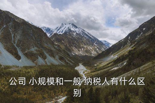 公司 小規(guī)模和一般 納稅人有什么區(qū)別