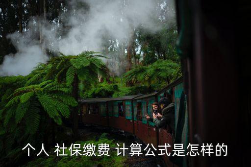 社保繳納計算,上海工資社保繳納計算