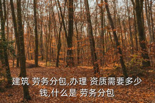 建筑 勞務(wù)分包,辦理 資質(zhì)需要多少錢,什么是 勞務(wù)分包