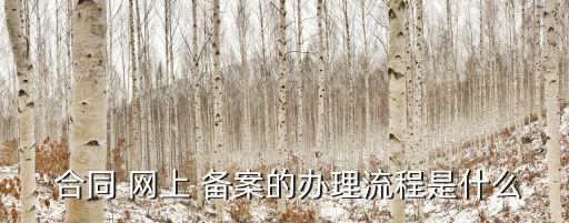 網(wǎng)上合同備案怎么操作,商品房網(wǎng)上合同備案查詢